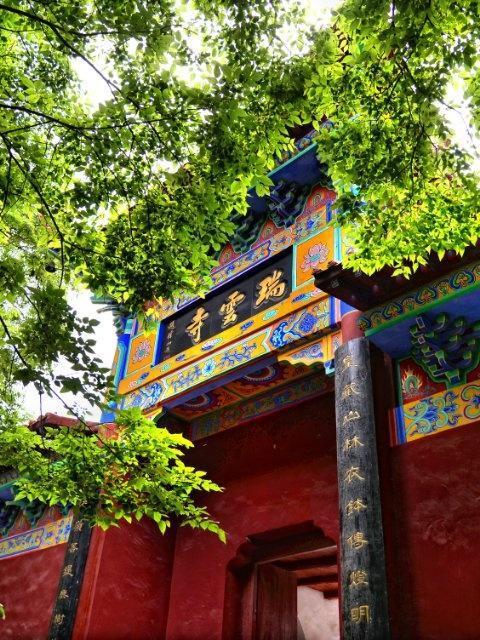 我是嘉兴人，去了趟安徽萧县，不吹不黑，萧县比网上评价的还要好