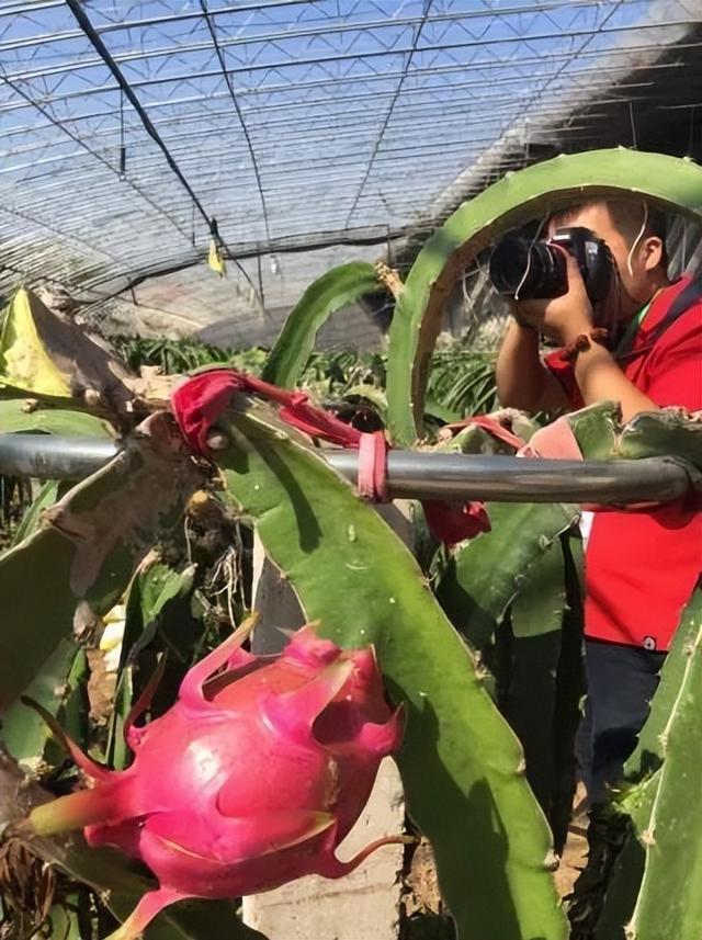 运城周末遛娃天花板！亲子采摘甜翻时光～