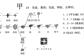 闲言说“甲”图片