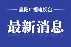 襄阳市图书馆及城市书房、城区分馆2023年中秋国庆双节期间开放公告图片
