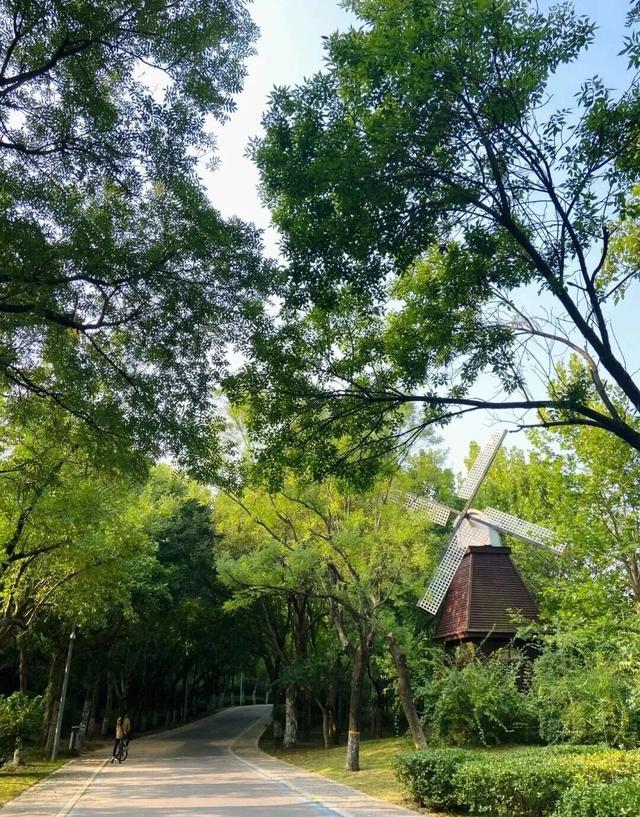 董宇辉力荐山东！潍坊，邀你赴约~