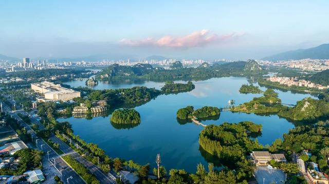 万鸟归巢的胜景，在肇庆也能看到！
