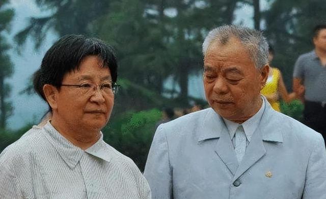 李讷唯一儿子王效芝：职高生，妻子是薄一波外孙女，介绍人是上将