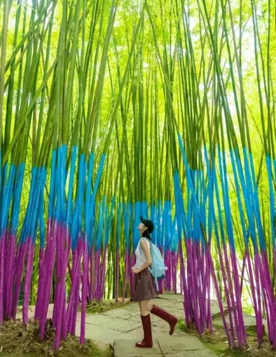 邛崃秋假放大招！这些景区免门票啦，亲子错峰游直接冲