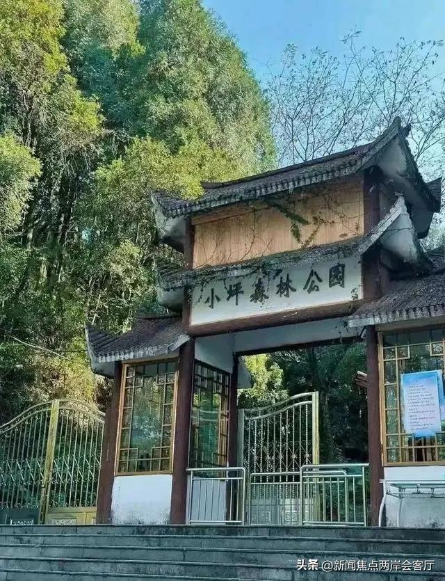 躲开“烤”验→共赴同安莲花高山避暑，解锁夏日清凉之旅！