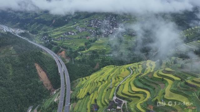 开屯梯田：岁月雕琢的田园诗画
