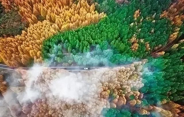 九月的长白山，值得去看一看！