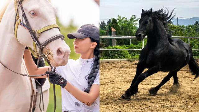 文旅临沂提醒！2026年免费、优惠福利来了！！