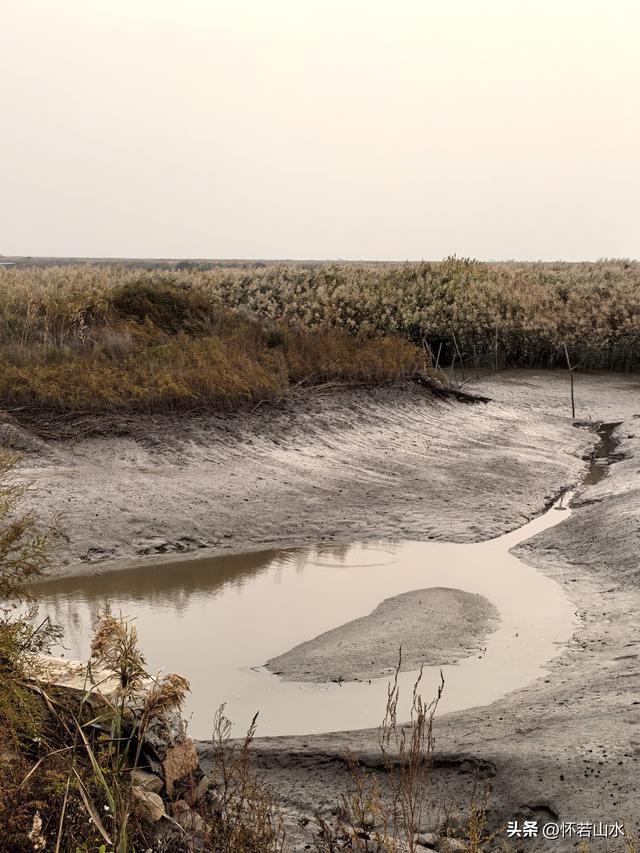 2025辽宁赏秋之旅日记(6)——到辽河口中国最北海岸线看日出 观鸟