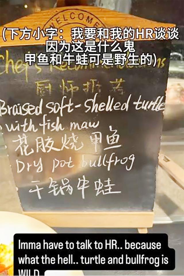 美国网球名将来华比赛，发多条视频侮辱中国菜，还称中餐“有毒”