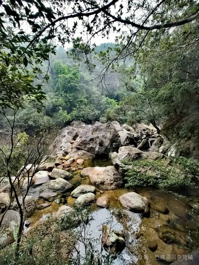 直下高原去海南（2）令人失望的十万大山国家森林公园