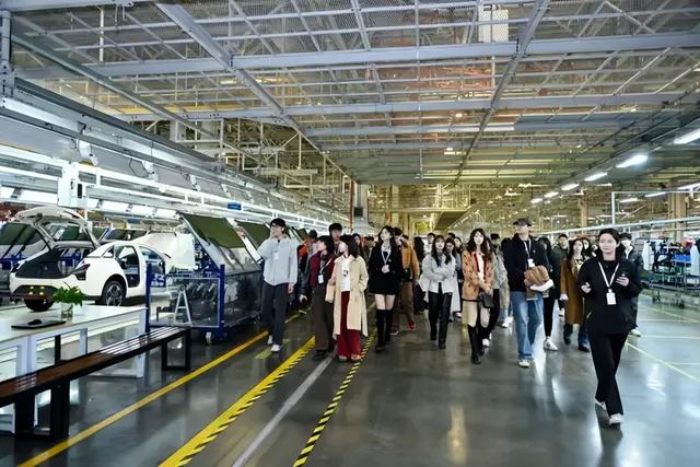 文商旅体，大旺一站配齐！