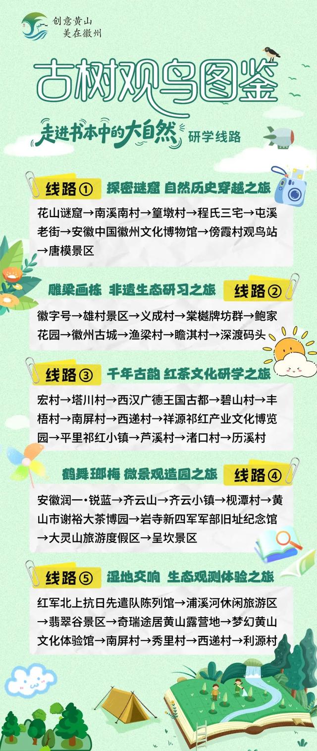 古树观鸟图鉴—4大主题20条线！玩转黄山→ | 皖美夏日