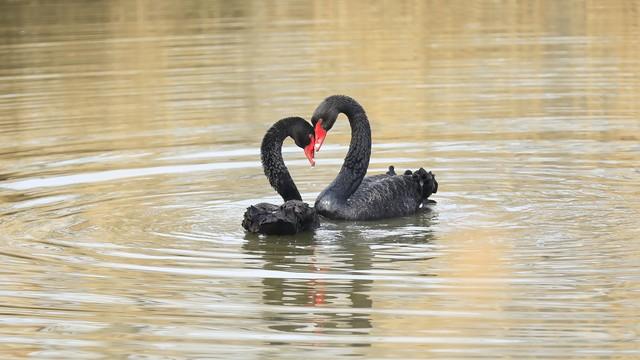 情感爆文：别让焦虑提前“偷走”你的好心情——活在当下的秘密