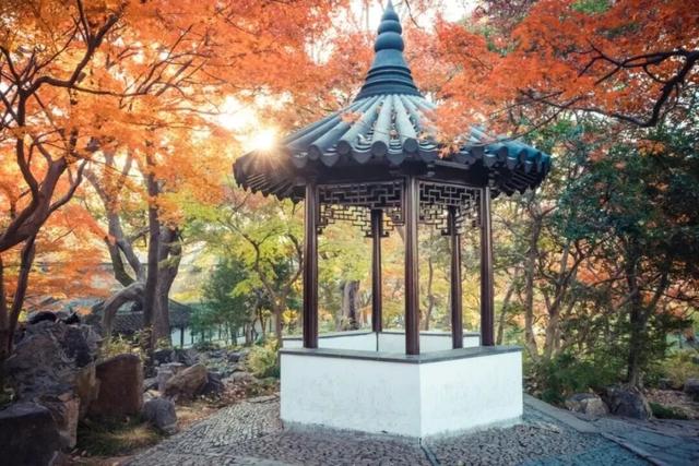 苏州秋天打卡线路推荐→