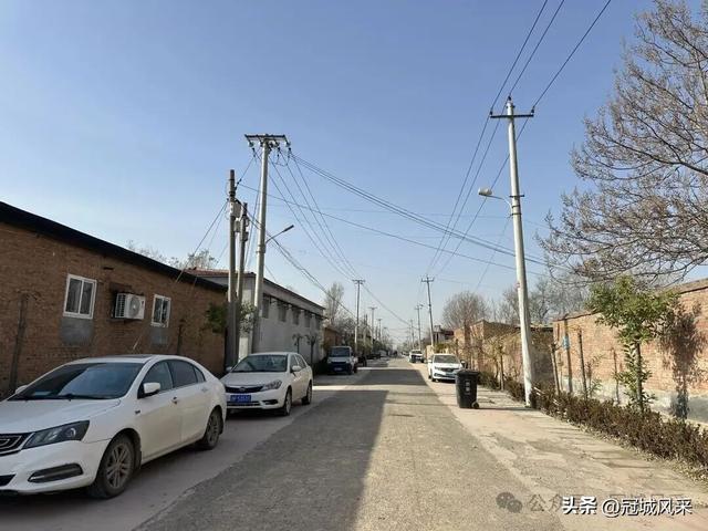 冠县乡韵·辛集镇饮马庄