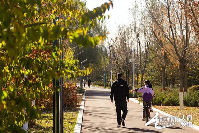 黄花公园秋意深 游客笑语映秋云