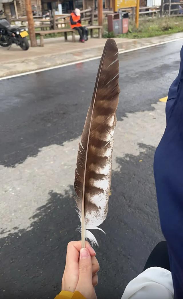 这可能是我买过的最离谱的特产：