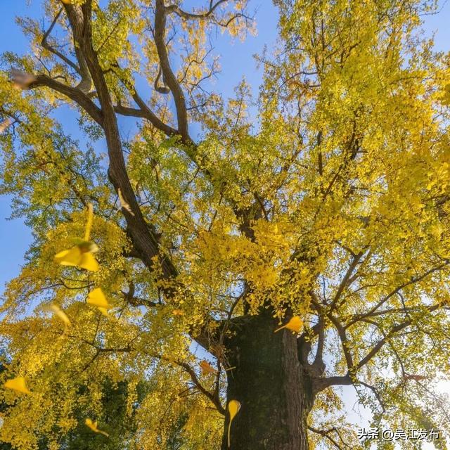 周末去打卡丨太好拍~东太湖绝美机位，“框框”出大片！