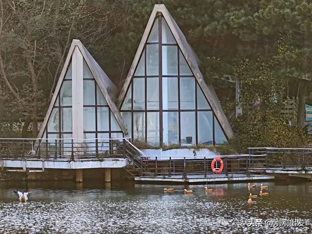 公交直达，大连这个免费公园枫叶正当时，赏秋好地方