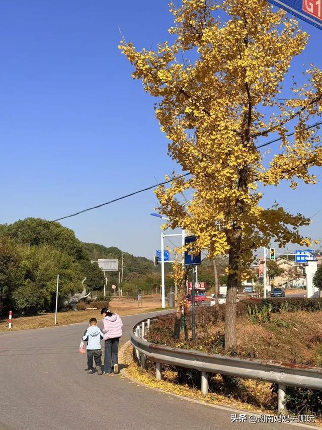 遛娃休闲两不误，在长沙“小禾木”邂逅12月初的灿烂风光！