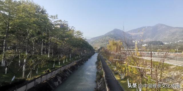 米易康养，相约暖阳