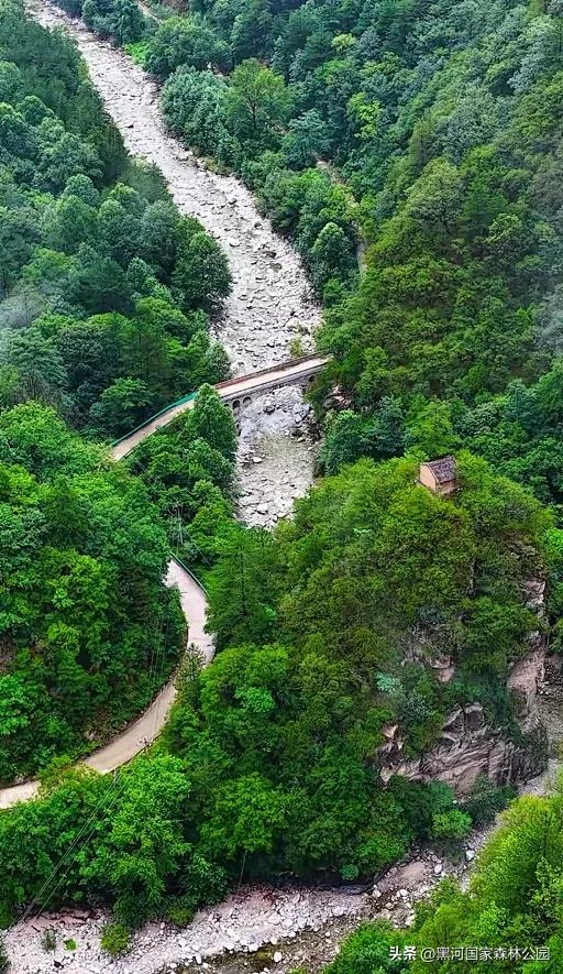 云海翻涌,薄雾缭绕,在黑河山间邂逅“山林仙境”