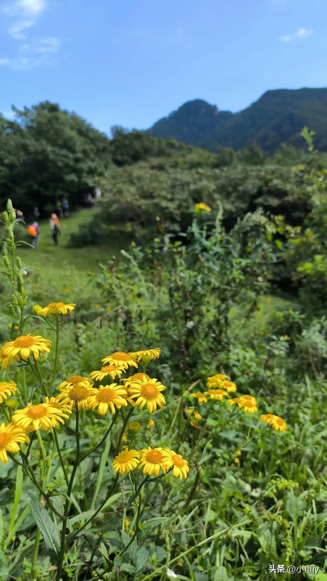 两次本溪南岭徒步记｜高山草甸，湖池松林，我被南岭种草