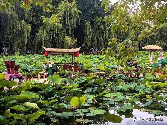 解锁新玩法！超全线路带你打卡22℃的翠湖