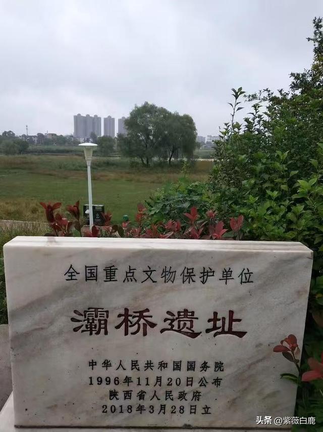 灞桥——这水，这柳