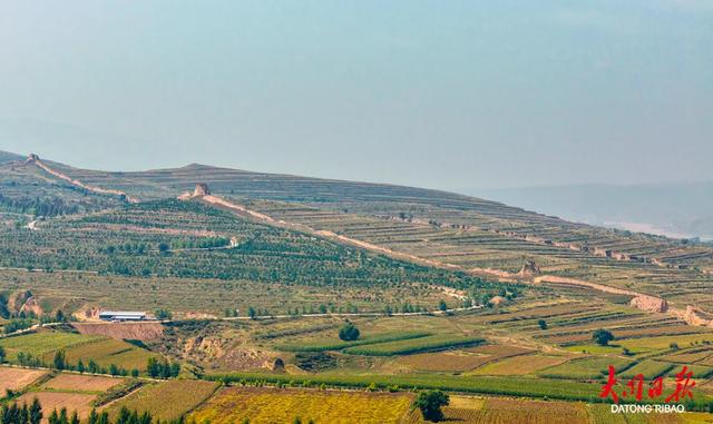 这条自驾线藏不住了!大同长城秋日“颜值爆表”~