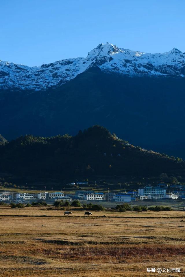 童话书里走出来的秋景！这座低调的西藏宝藏小城，早就该火了！