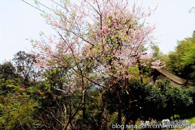 三叠泉拍片的故事[下]（江西之旅第九篇）