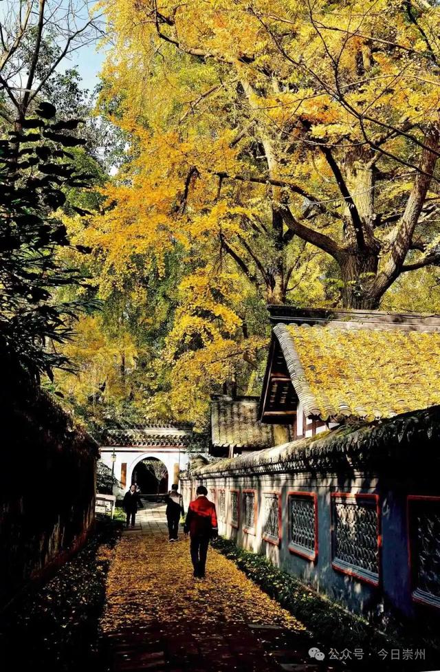 王婆说媒空降崇州！ 快来街子，“马”上说媒，邂逅新年良缘！