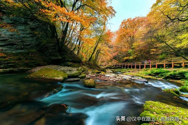 2025汉中黎坪红叶季10月15日云启幕！18日、19日免门票！