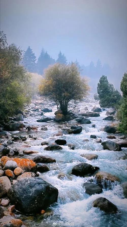 让我念念不忘的祁连秘境：雪山、草原、森林，西北私藏的治愈天堂