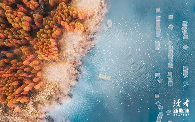 弘一法师：“人一旦死了，生前的衣服、手表，盖过的被子，睡过的床，都会被扔掉，烧掉，处理掉……”