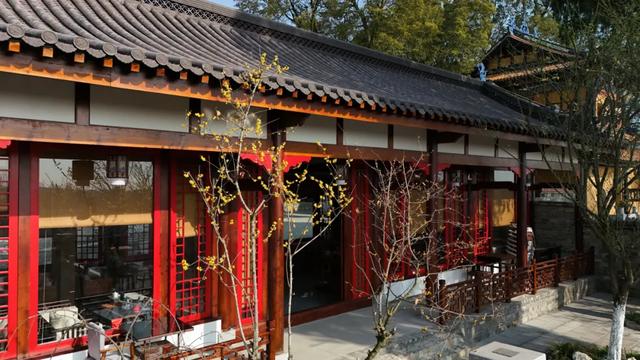 限时“梅”景!郫都这座千年古寺,藏着冬日最治愈的禅意与浪漫