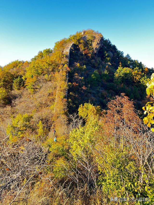 长城徒步之94：密云烧香峪、五虎门、黑谷关长城秋色