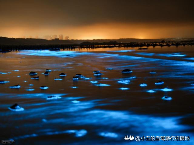平潭 2 天 1 夜实测攻略！蓝眼泪 + 风车田 + 海岛秘境，避坑 + 出片全说透