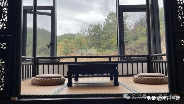 湾里揽胜:蟠龙峰下茶养云