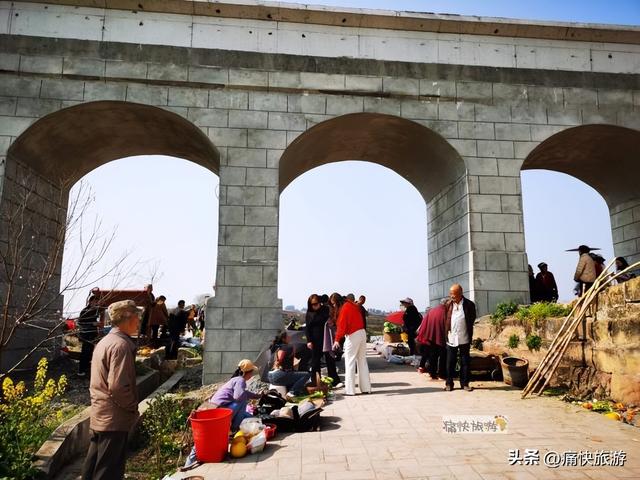 正月春光好，自贡青龙湖油菜花海已提前绽放！