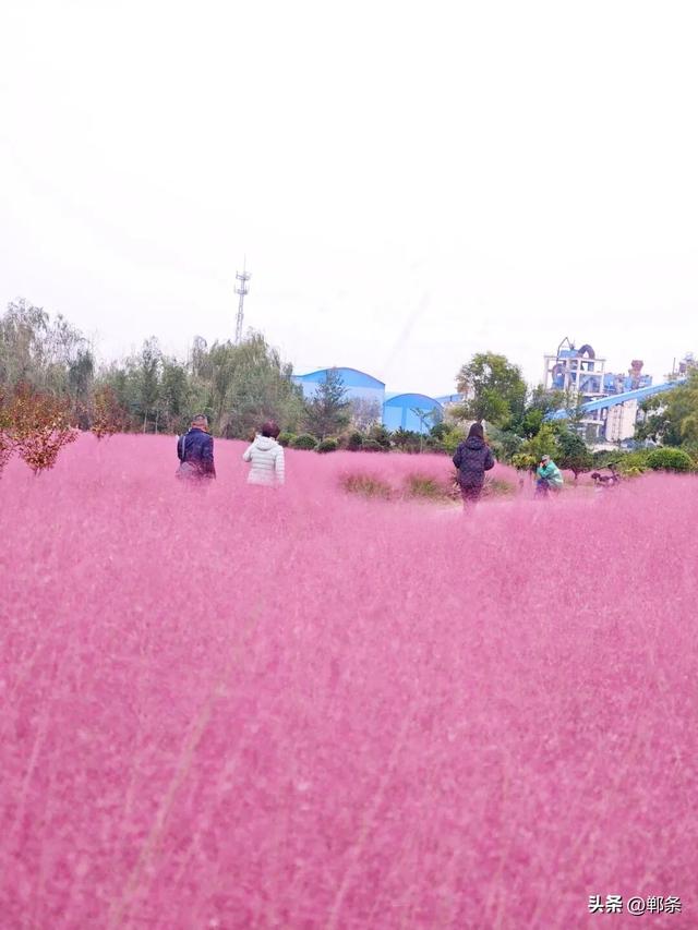 峰峰秋日“宠粉”已上线