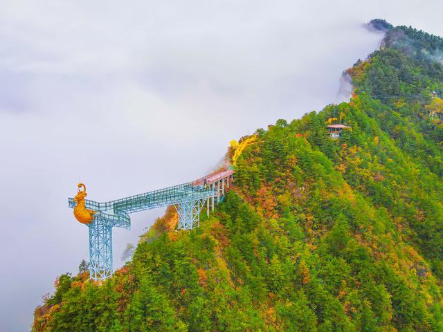 半山云海半山秋色