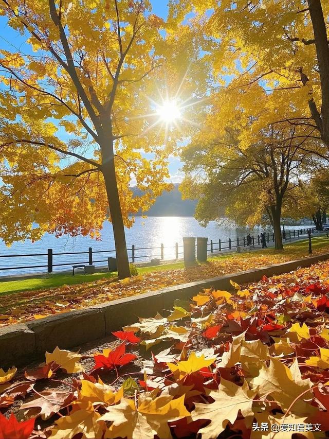 立冬到，在晚秋与初冬间徘徊，赏秋之绚烂与冬之静谧