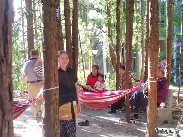 利川避暑山庄苏马荡树林下人们活动剪辑 老人安享晚年 小孩亲近自然
