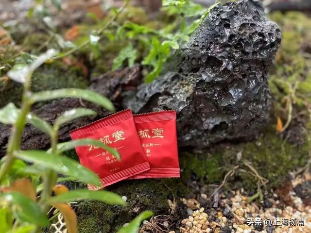 周末去哪儿玩？来杨浦这里“赶集”了