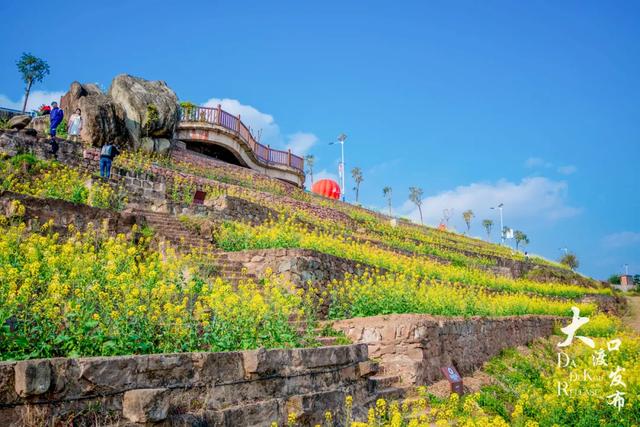 春天来了,你也该来一趟大渡口啦!