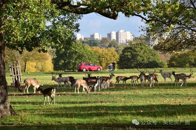 伦敦的魅力,不在宏伟处,而在这些小角落……