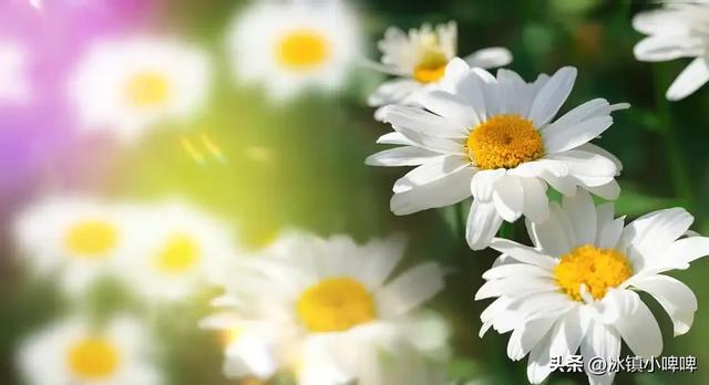 男人冷战不低头?三招让他低头求饶,聪明女人都这么做